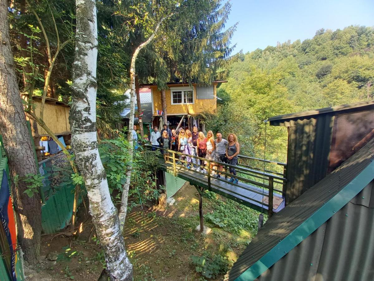 비소코 Tree House 아파트 외부 사진